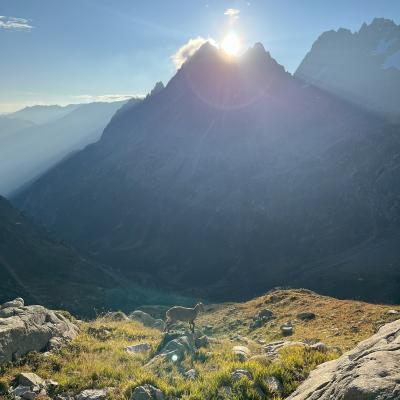 Sortie : Le Mont Buet