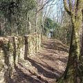 Chemin
