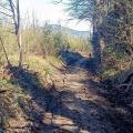 chemin
