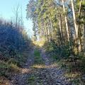 chemin