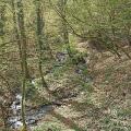 Sur le Parcours