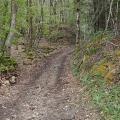 Chemin