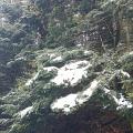 Neige