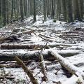 Parcours