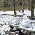 Neige