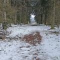 Chemin