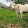 Rencontre