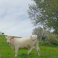 Rencontre