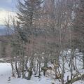 Encore beaucoup de neige