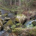Sur le parcours