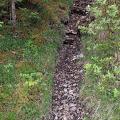 Chemin