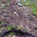 chemin