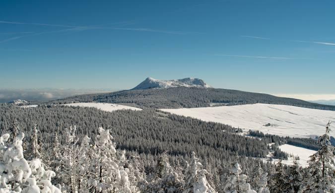 Mont mezenc