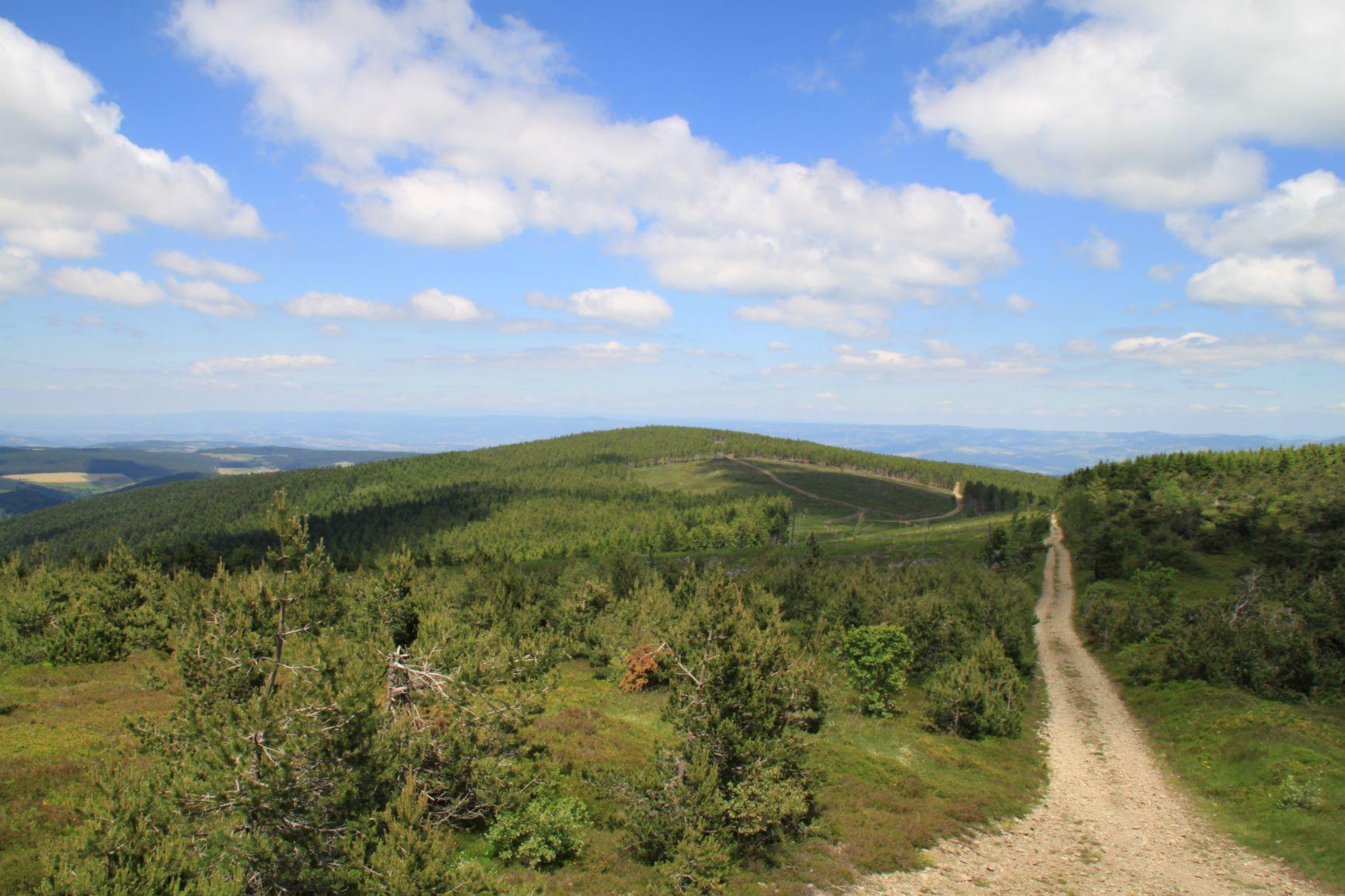 Mont mouchet