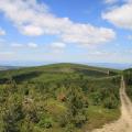 Mont mouchet