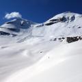 Pointe de ronce